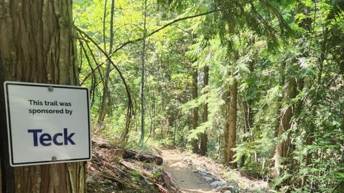 Forest trail with a sign reading 'This trail was sponsored by Teck.'